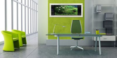 Oficinas, Colores