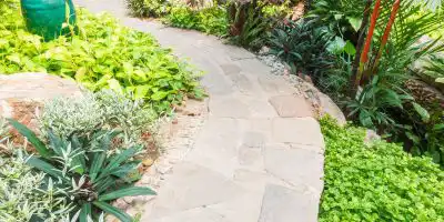 Jardín