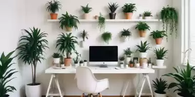 Oficina, Plantas